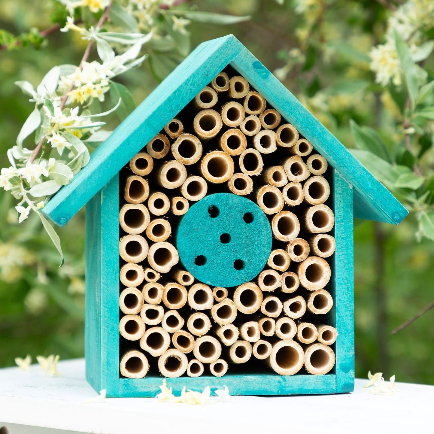 Wooden Mason Bee House