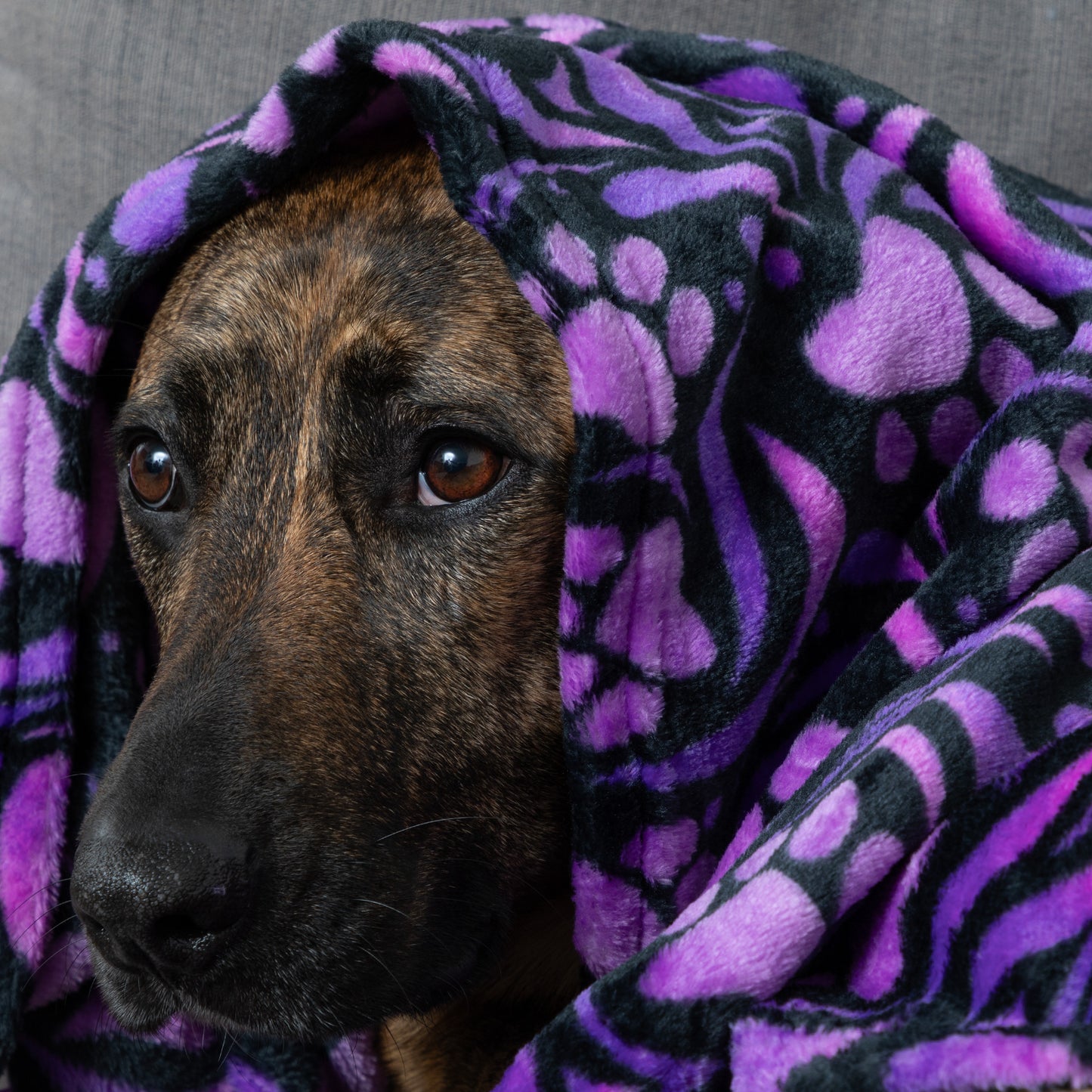 Super Cozy&trade; Pet Blanket