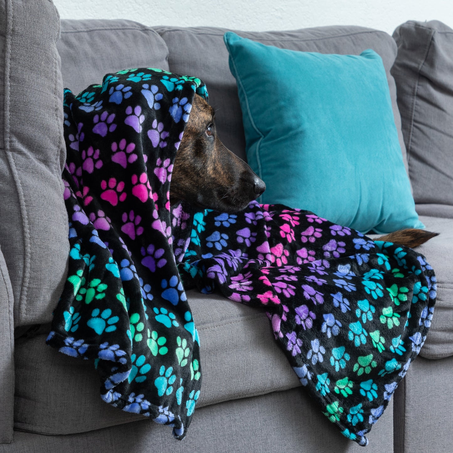 Super Cozy&trade; Pet Blanket