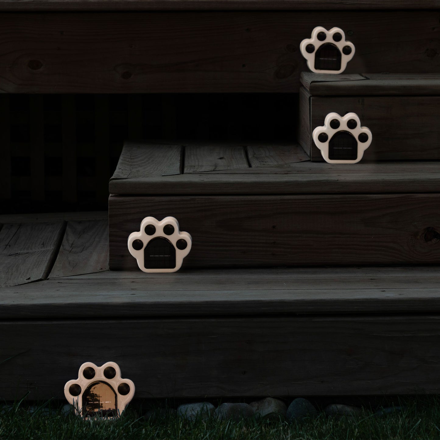 Paw Print Pathway Ground Solar Light - Set of 4