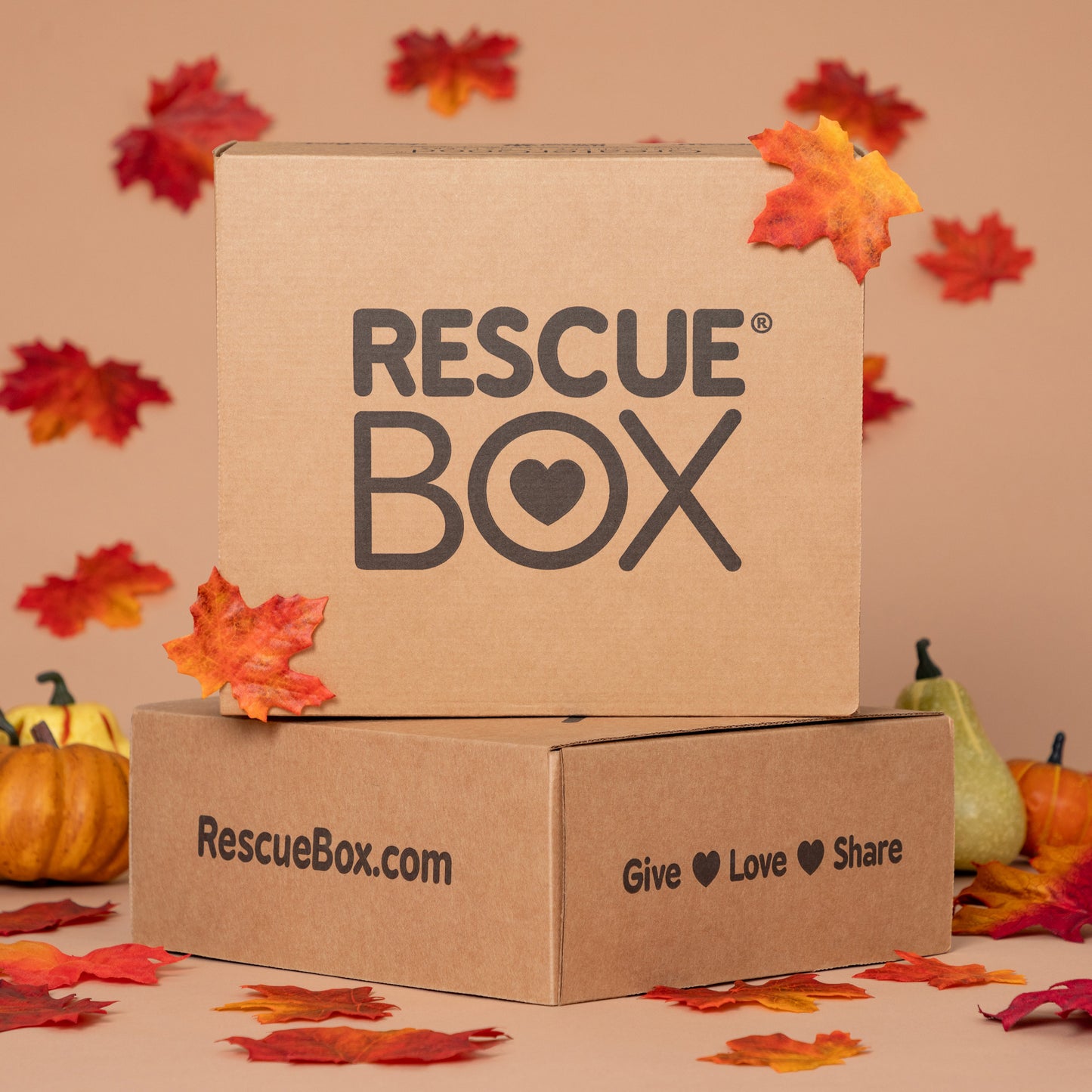 RescueBox&reg; - Spoil Your Pet, Help Animals In Need