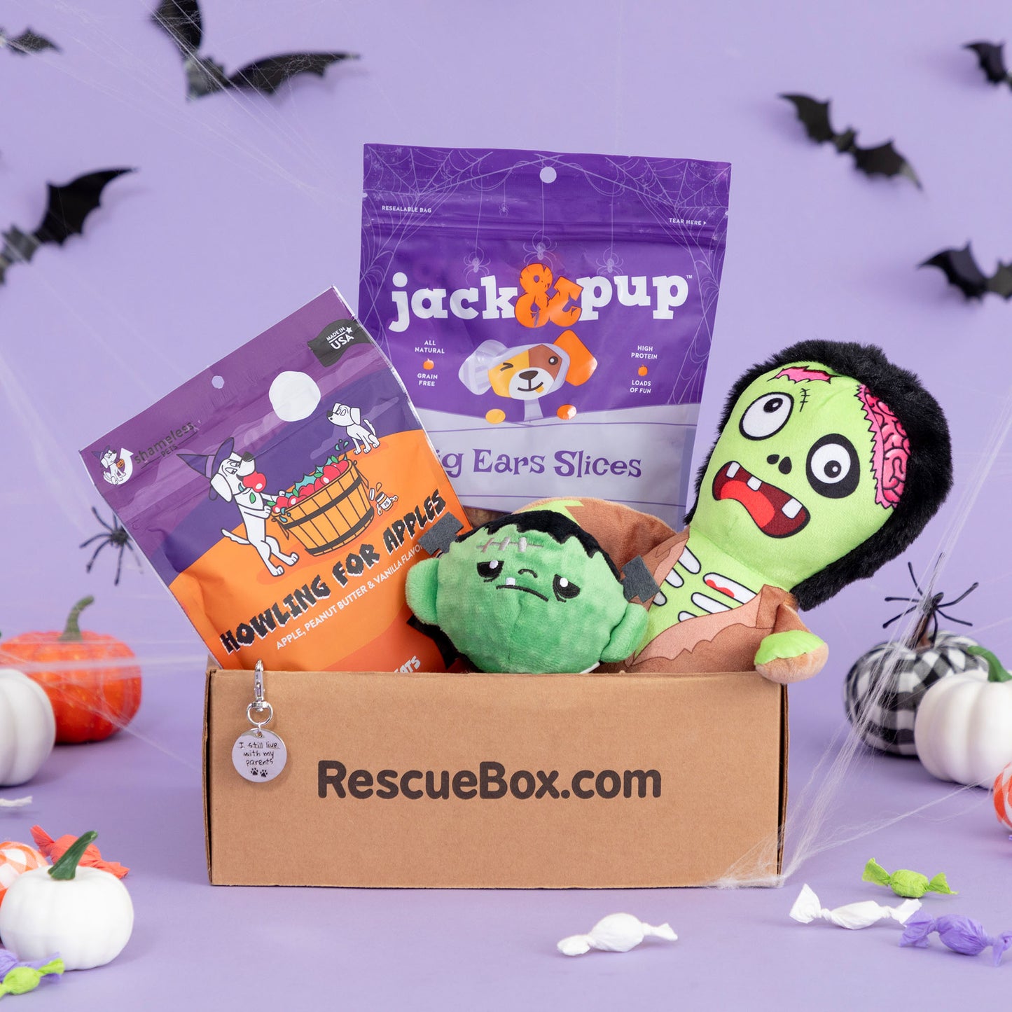 RescueBox&reg; - Spoil Your Pet, Help Animals In Need