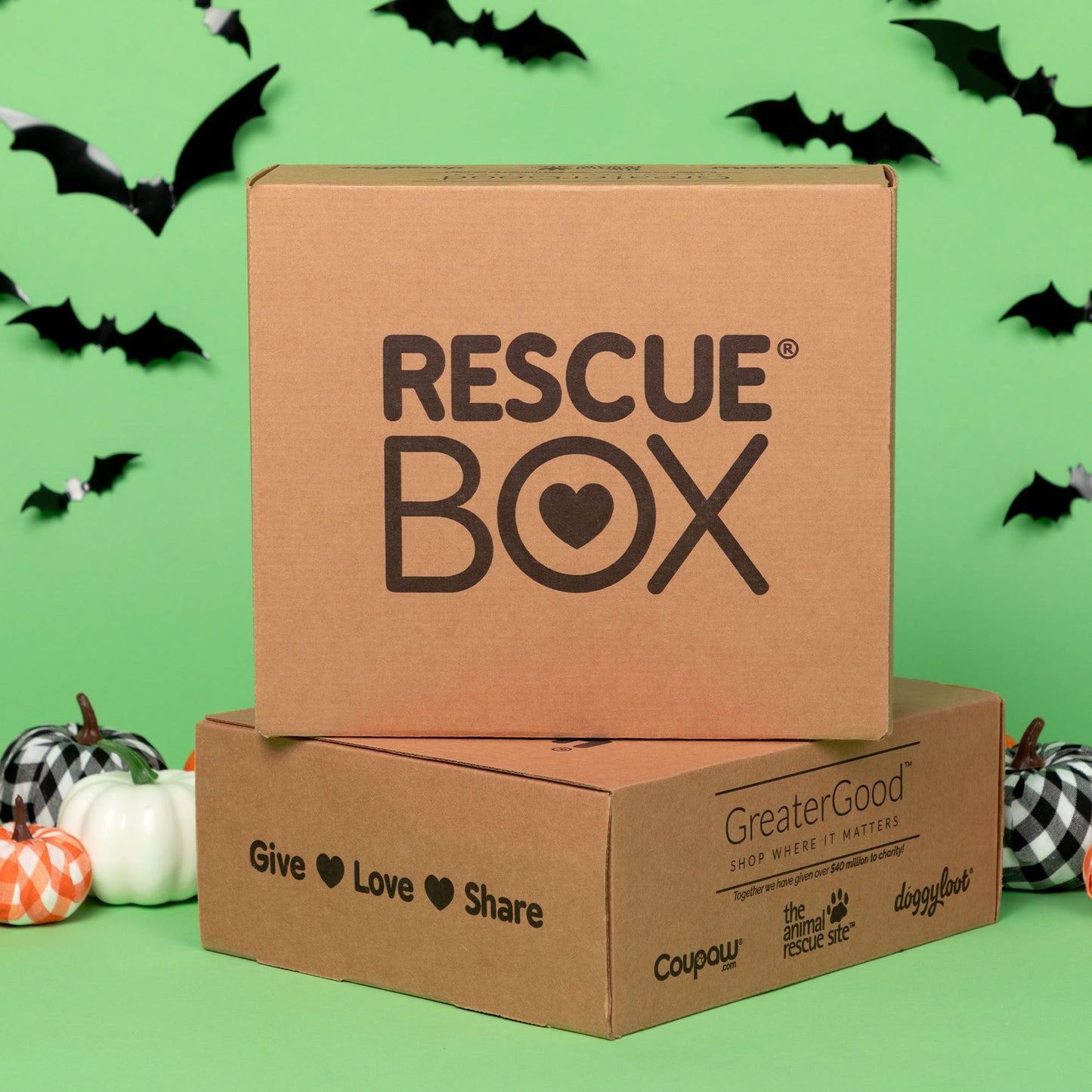 RescueBox&reg; - Spoil Your Pet, Help Animals In Need