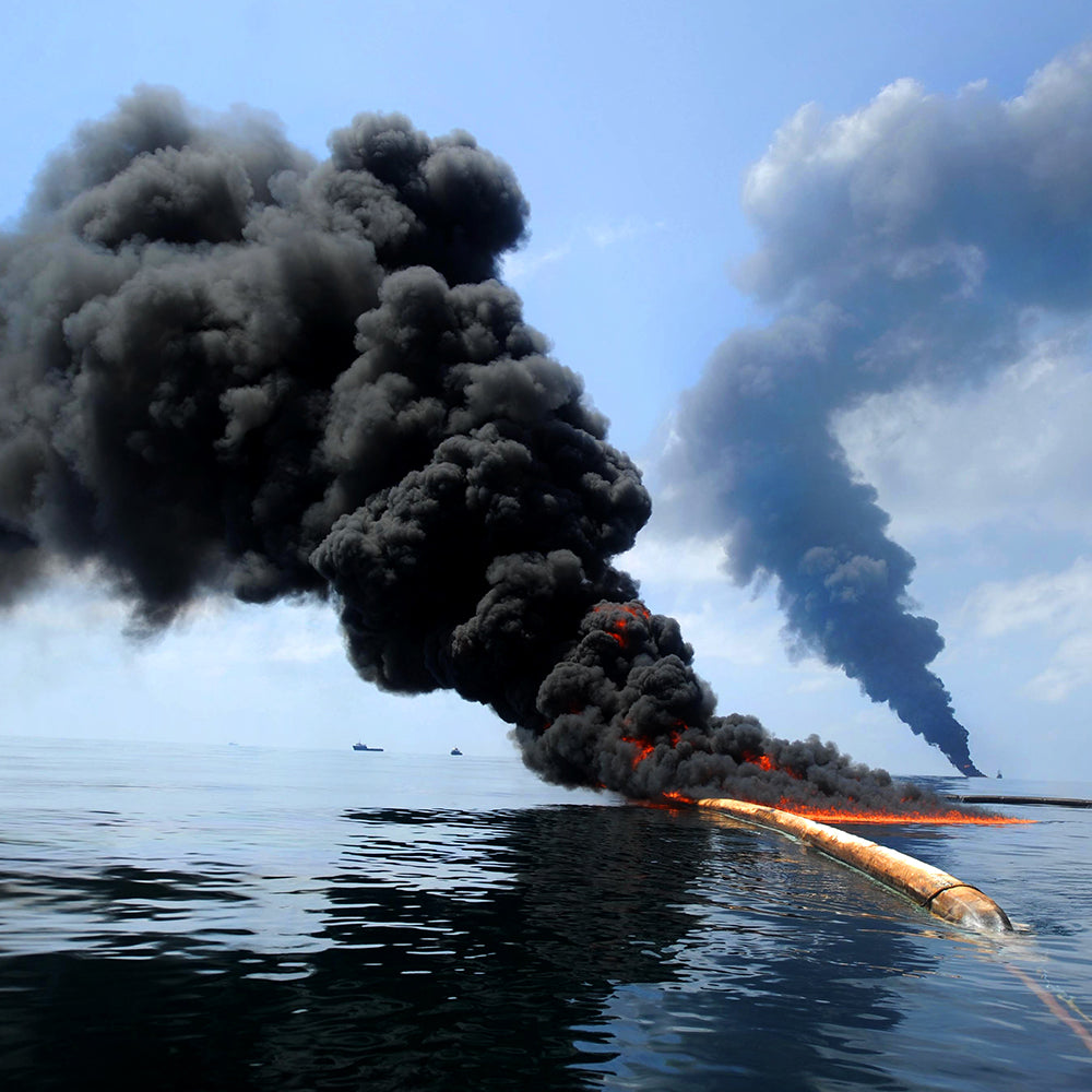 Federal Protections Gutted, Critically Endangered Species At Risk