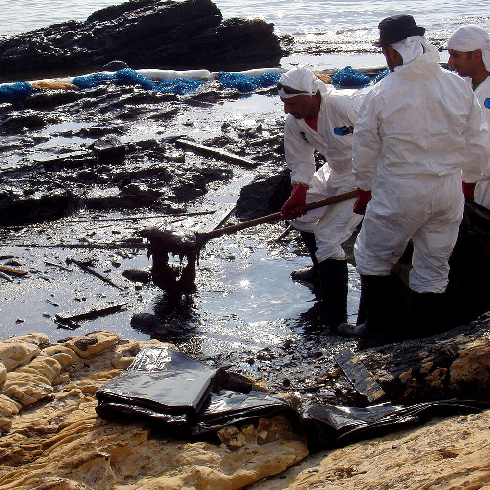 Federal Protections Gutted, Critically Endangered Species At Risk