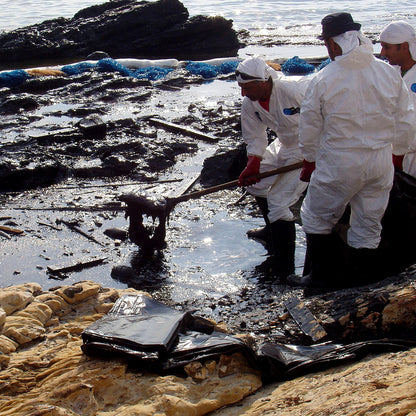 Federal Protections Gutted, Critically Endangered Species At Risk