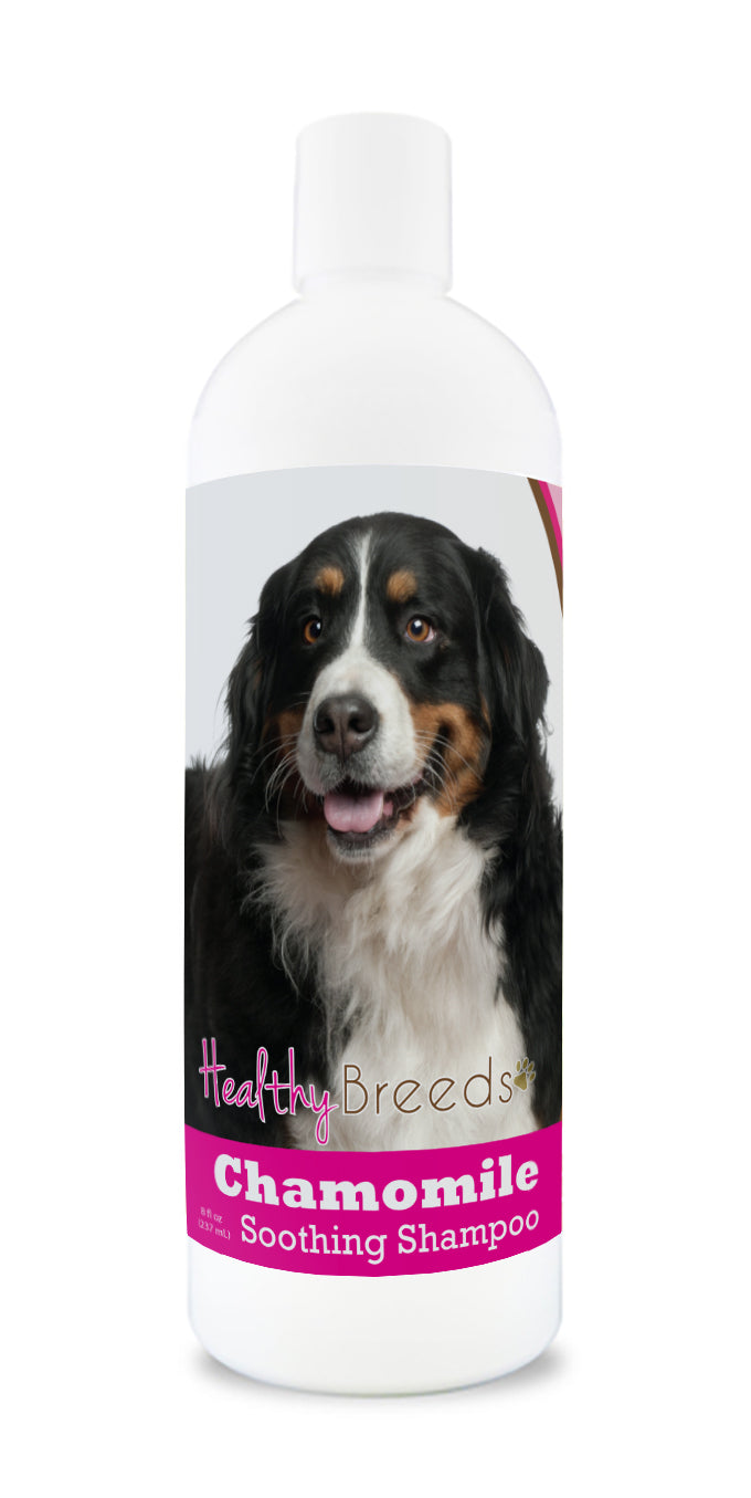 Healthy Breeds Chamomile Soothing Dog Shampoo - 8 oz