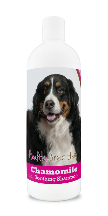 Healthy Breeds Chamomile Soothing Dog Shampoo - 8 oz