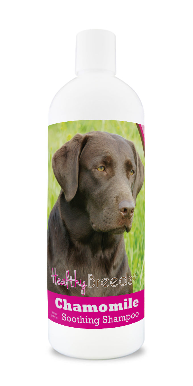 An 8 oz bottle of Chamomile Soothing Dog shampoo with a chocolate lab on the label.