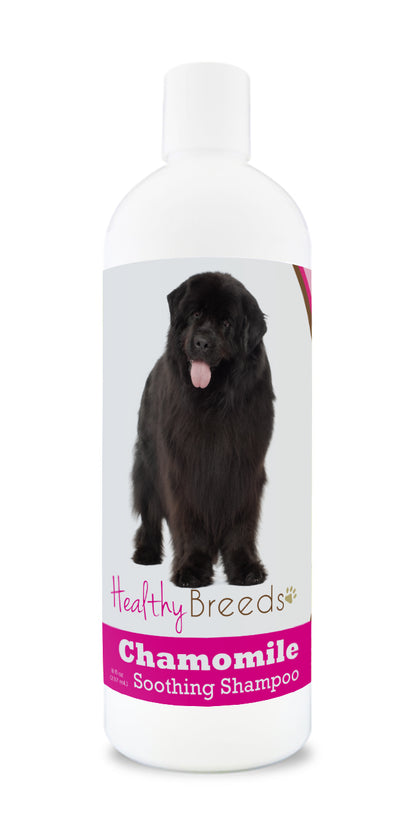 Healthy Breeds Chamomile Soothing Dog Shampoo - 8 oz