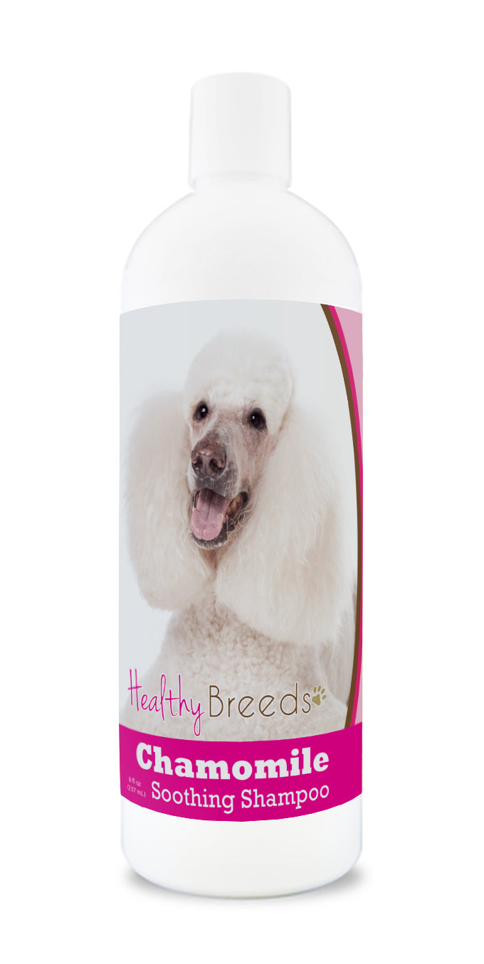 An 8 oz bottle of Chamomile Soothing Dog shampoo with a poodle on the label.