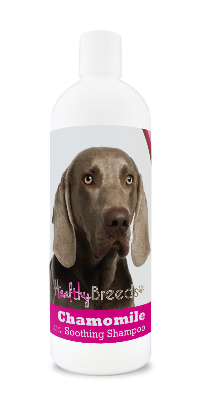 Healthy Breeds Chamomile Soothing Dog Shampoo - 8 oz