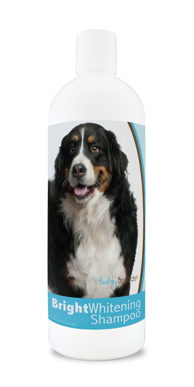Bottle of bright whitening shampoo featuring a smiling bernese mountain dog's face on the label.