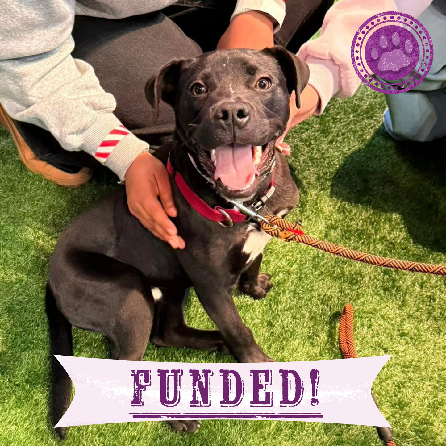 Funded: Severely Burned and Dumped, Bond Needs a Chance to Heal