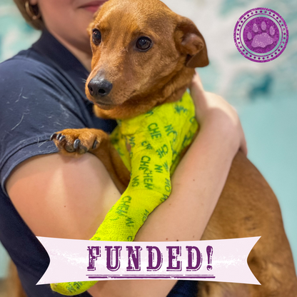 Funded: Support Lyubchik as He Heals from Pelvic Fracture