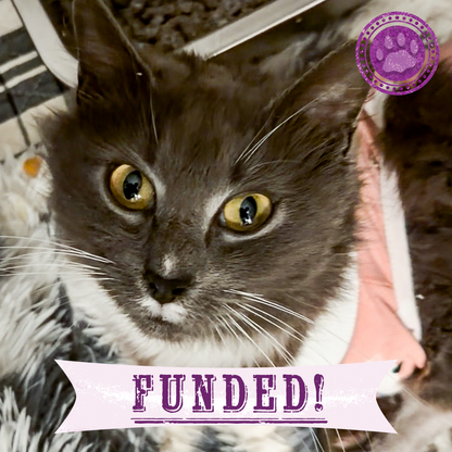 Funded: Pauline Needs Your Help After a Difficult Delivery