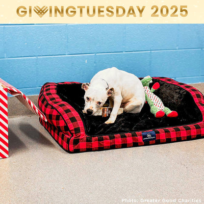 GivingTuesday: Care Package Drive for Shelter Pets