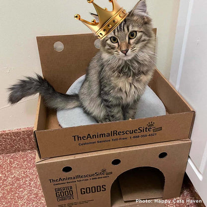 Support Feline Domination - One Castle at a Time