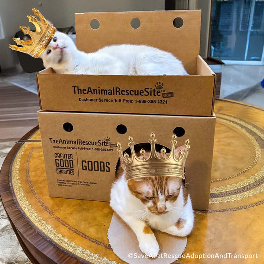 Support Feline Domination - One Castle at a Time