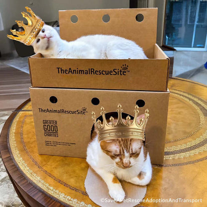 Support Feline Domination - One Castle at a Time