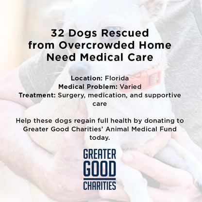 32 Neglected Dogs Rescued from Overcrowded Home Need Emergency Medical Care