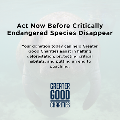 Act Now Before Critically Endangered Species Disappear