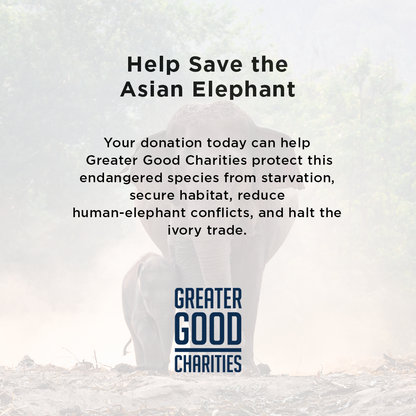 Help Save the Asian Elephant