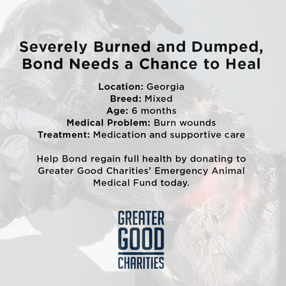 Funded: Severely Burned and Dumped, Bond Needs a Chance to Heal