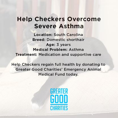 Help Checkers Overcome Severe Asthma