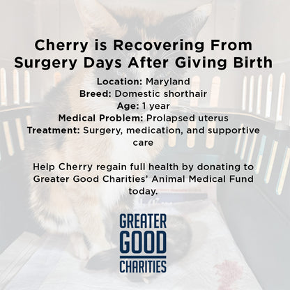 Cherry Was in Severe Pain After Giving Birth - Emergency Surgery Is Her Only Hope