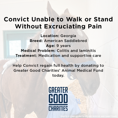Convict Unable to Walk or Stand Without Excruciating Pain Needs Your Help