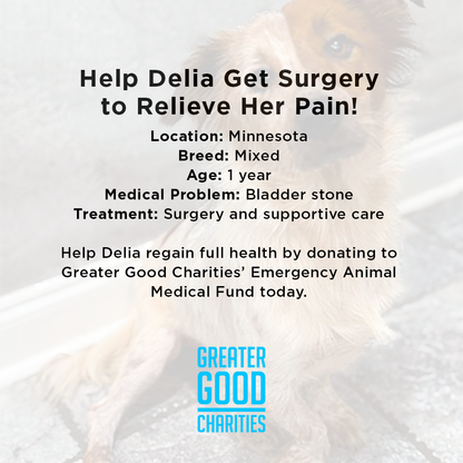 Help Delia Get Surgery to Relieve Her Pain