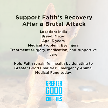 Support Faith’s Recovery After a Brutal Attack