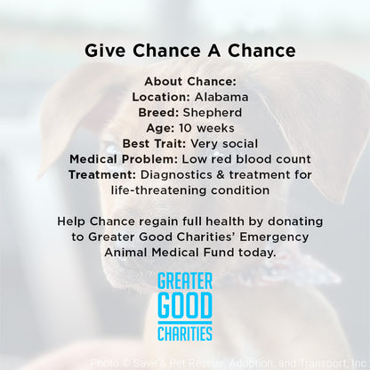 Funded - Give Chance A Chance: Fund Emergency Blood Transfusion