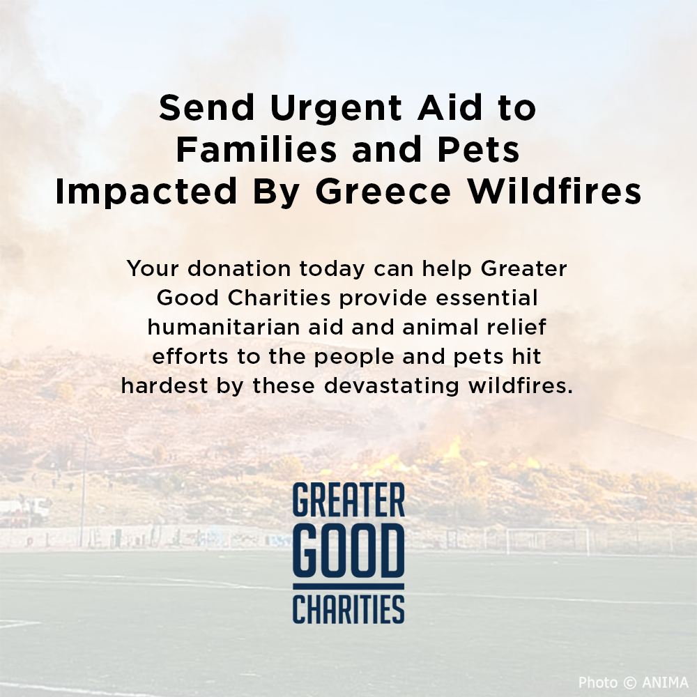 Send Urgent Aid to Families and Pets Impacted By Greece Wildfires