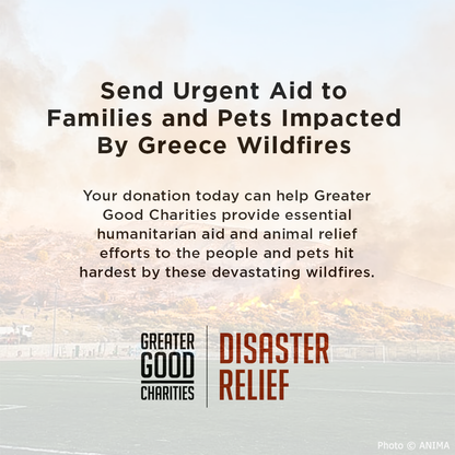 Send Urgent Aid to Families and Pets Impacted By Greece Wildfires
