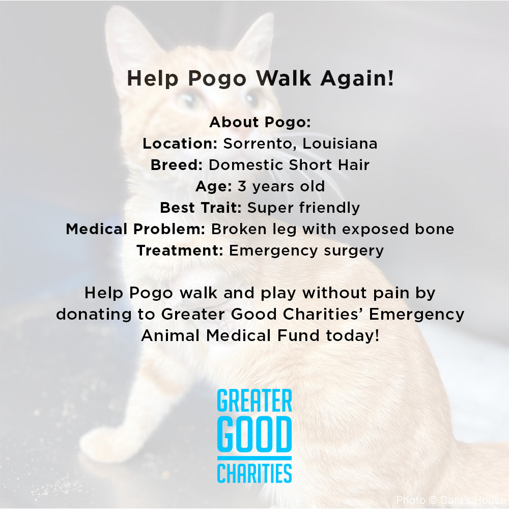 Funded - Help Pogo Walk Again