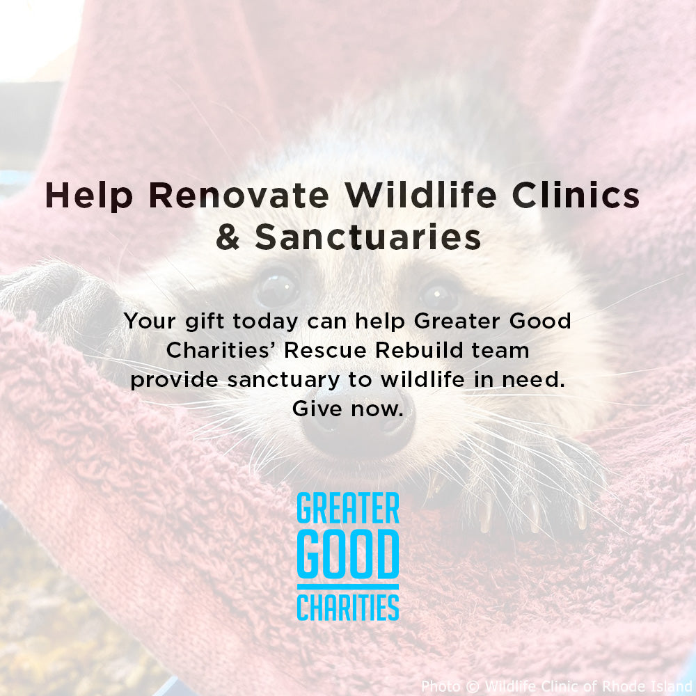 Help Renovate Wildlife Clinics and Sanctuaries