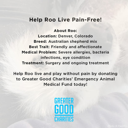 Funded - Help Roo Live Pain Free