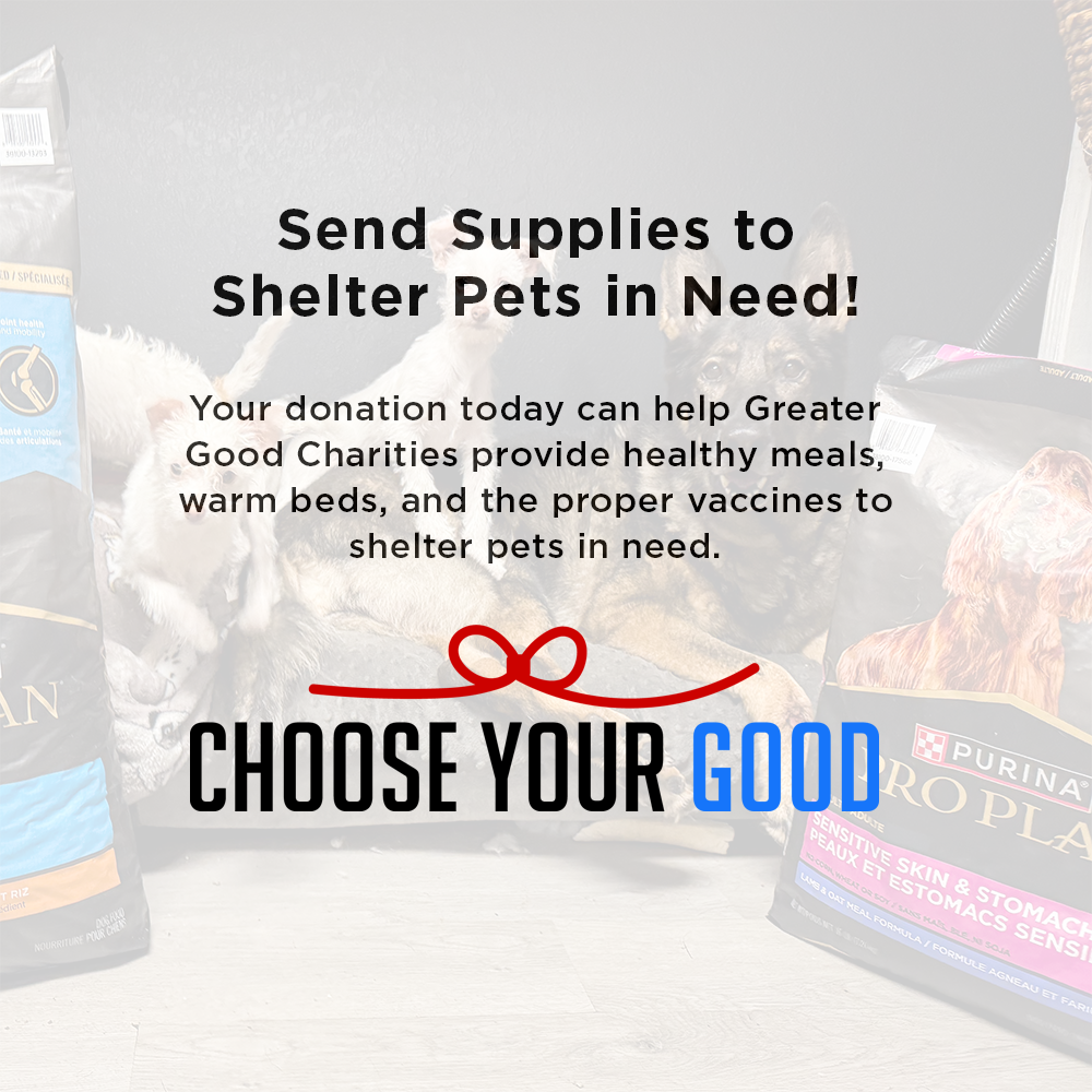 Send a Care Package to a Shelter Pet