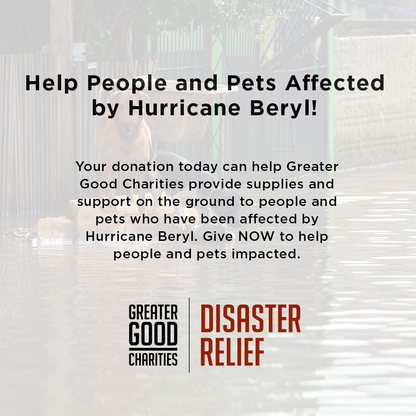 Help People and Pets Affected by Hurricane Beryl