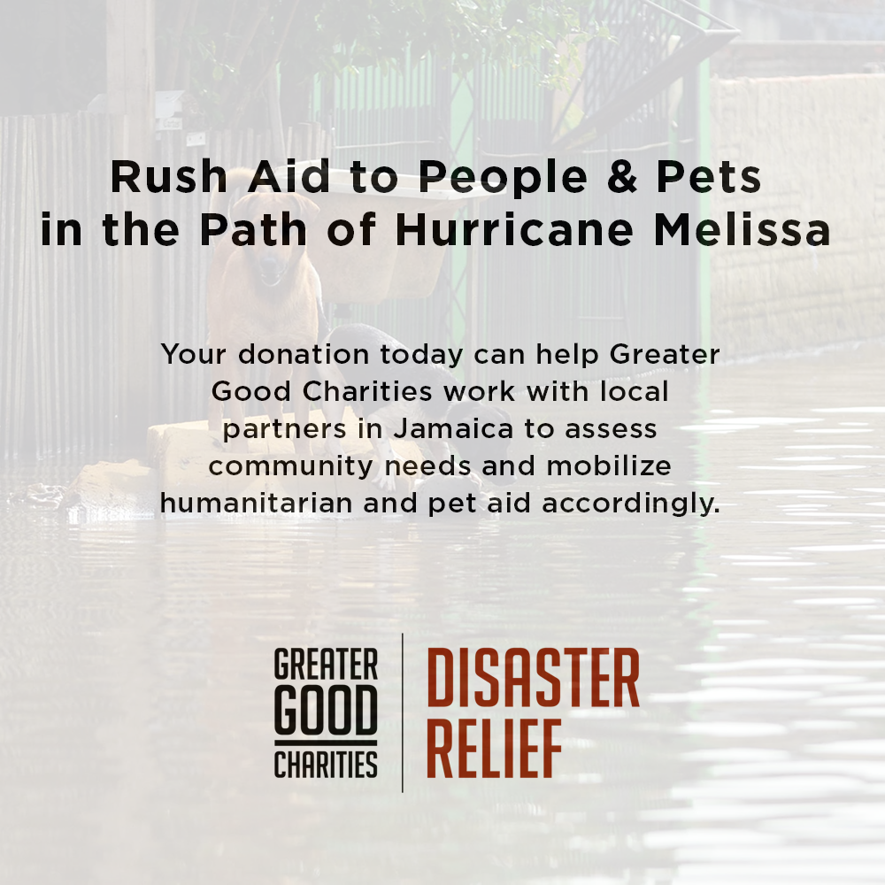 Rush Aid to People & Pets Devastated By Hurricane Melissa