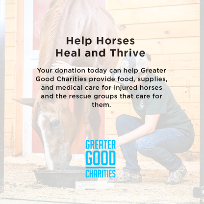 Help Feed and Care for Rescued Horses