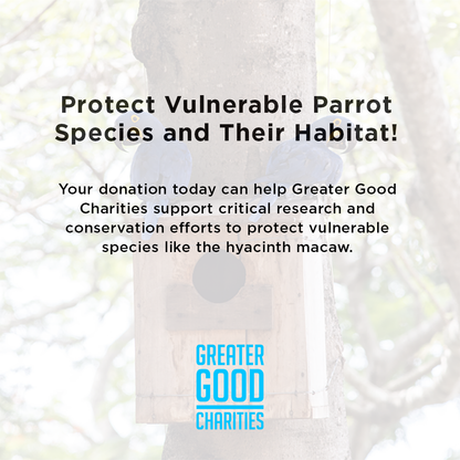 Protect Vulnerable Parrot Species and Their Habitat