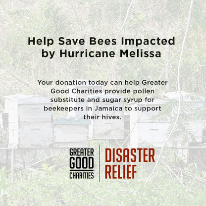 Help Save Bees Impacted by Hurricane Melissa