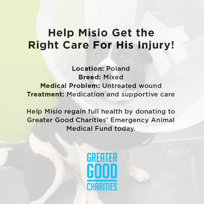 Help Misio Get the Right Care For His Injury