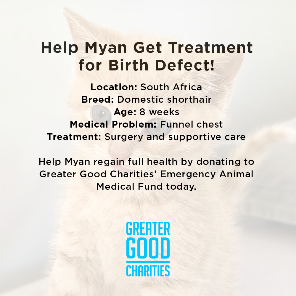 Help Myan Get Treatment for Birth Defect