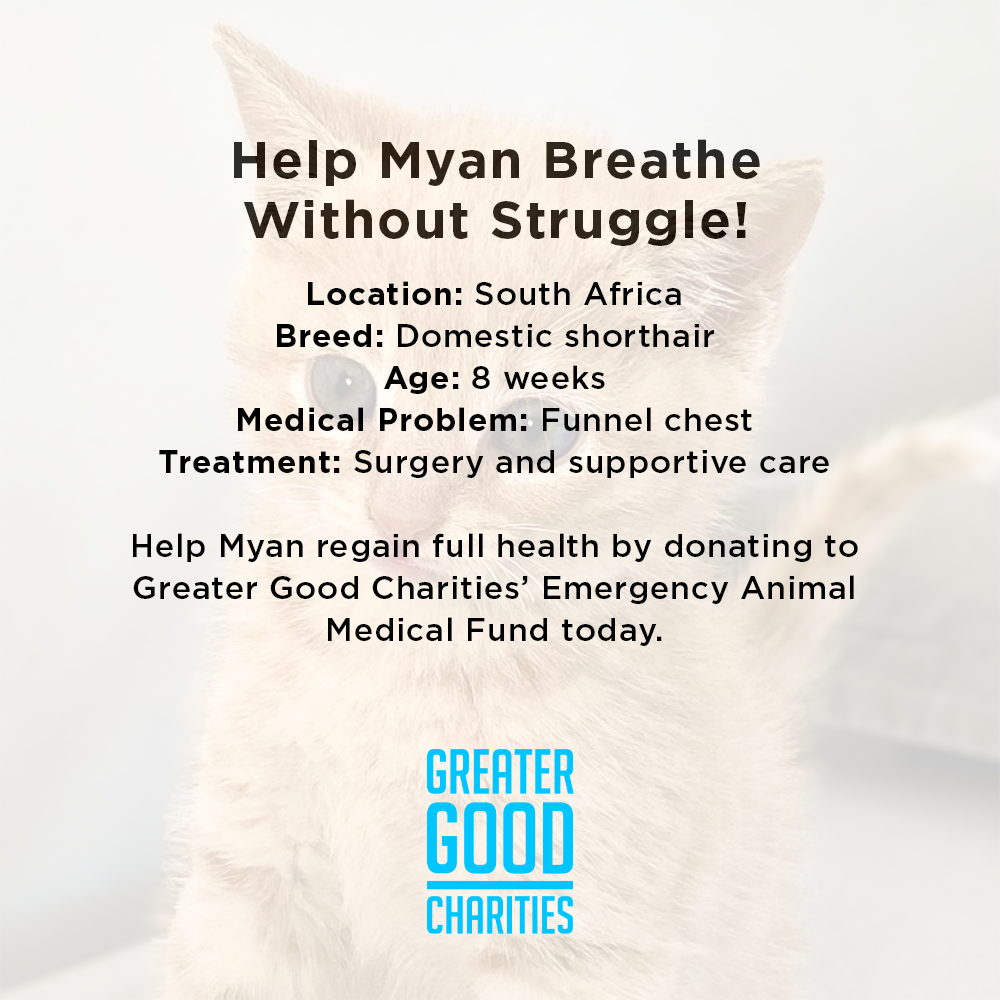 Help Myan Breathe Without Struggle