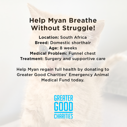 Help Myan Breathe Without Struggle