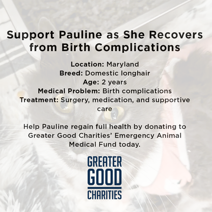 Pauline Needs Your Help After a Difficult Delivery